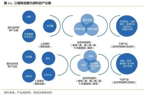 溢多利 專注研發創新的生物技術隱形冠軍，替抗業務迎來高增長