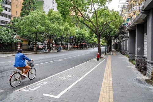 虹口區(qū)四條道路榮膺2019年度上海市精品示范路稱(chēng)號(hào)
